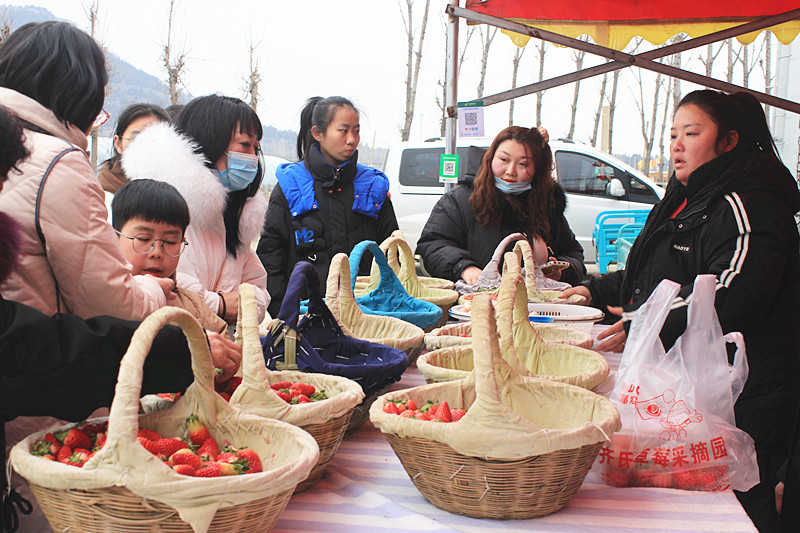 ��ݮ�h��c�´� | ���f�(zh��n)��ɽ�ڲ�ݮ��ժ��Ȥ���������w�(y��n)�e����ζ